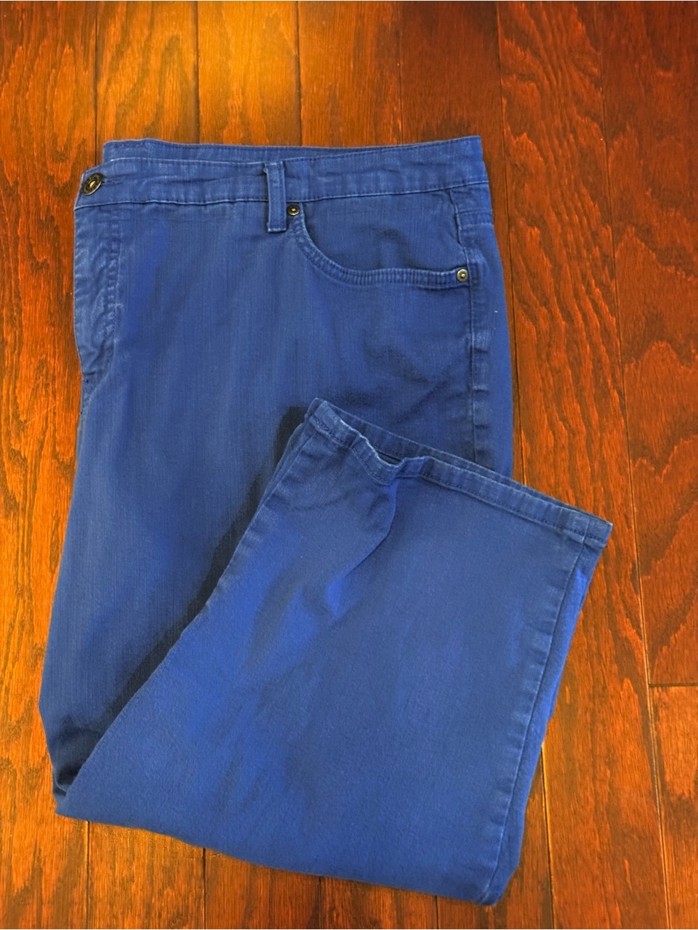 Style & Co. Blue Capris Size 22W
